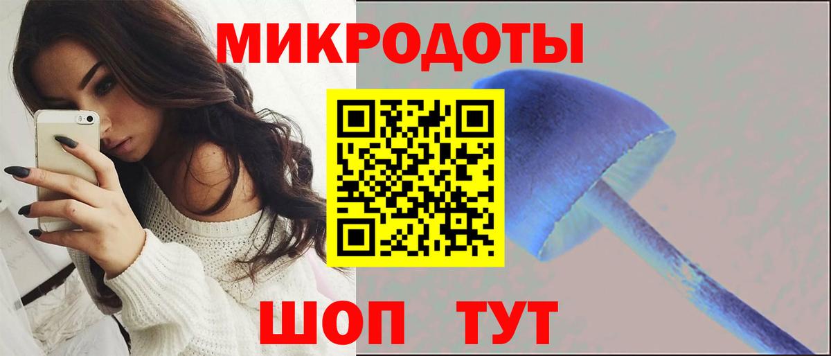 Красногорск  Галлюциногенные грибы Psilocybine cubensis  Вход с VPN 